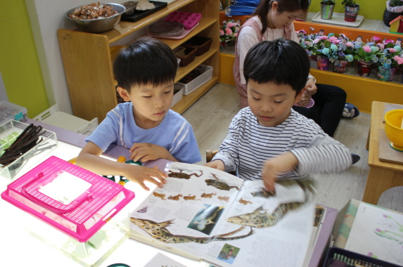 함께 탐구하기
실물과 책, 친구는 언제나 우리를 더 지혜롭게 만들어주는 최고의 아군입니다.
우리는 함께 생각하고 아이디어를 공유하고 때로 서로 반박과 동조하며 함께 자랍니다. 